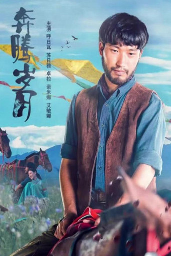 My Prairie My Horse movie poster