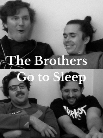 The Brothers Go to Sleep movie poster