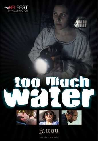 Too Much Water movie poster