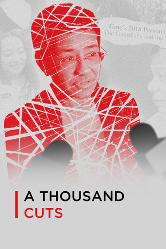 A Thousand Cuts movie poster