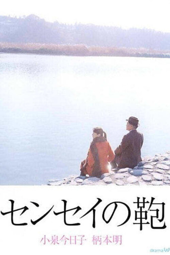 Teacher's suitcase movie poster