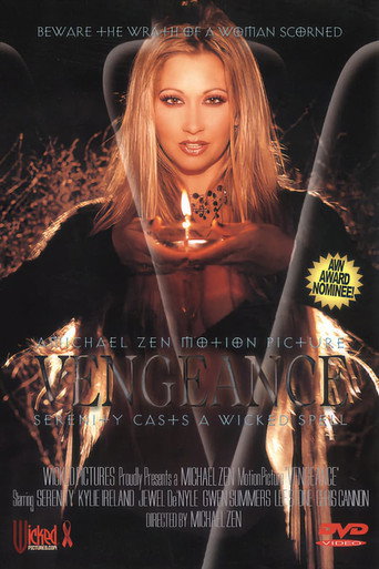 Vengeance movie poster