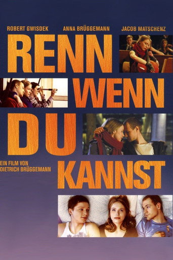Run If You Can movie poster