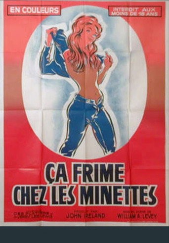 Ça frime chez les minettes movie poster