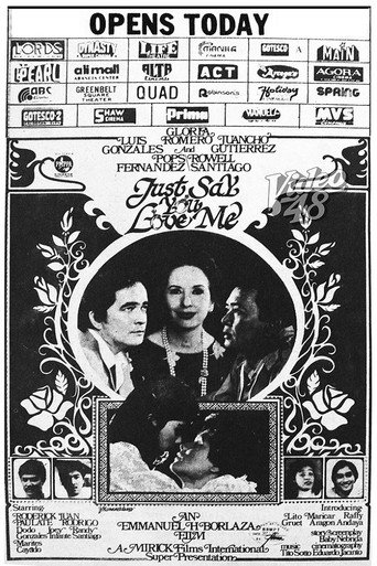 Just Say You Love Me movie poster