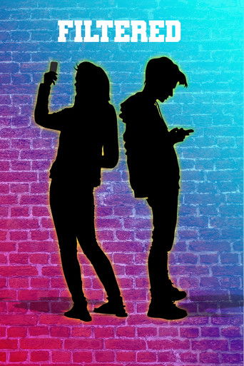 Filtered movie poster