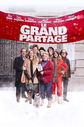 The Roommates Party movie poster