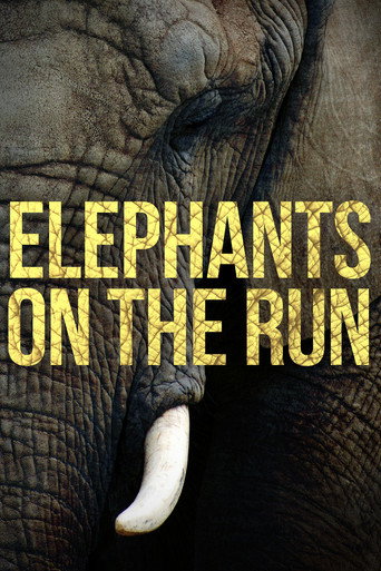 Elephants on the Run movie poster