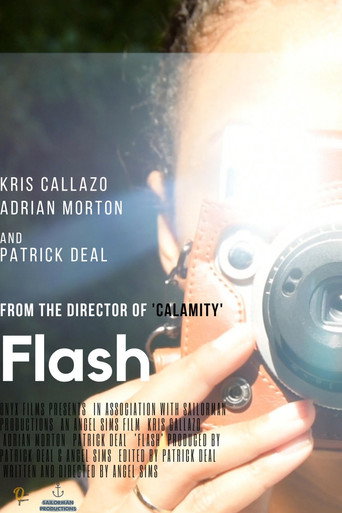 Flash movie poster