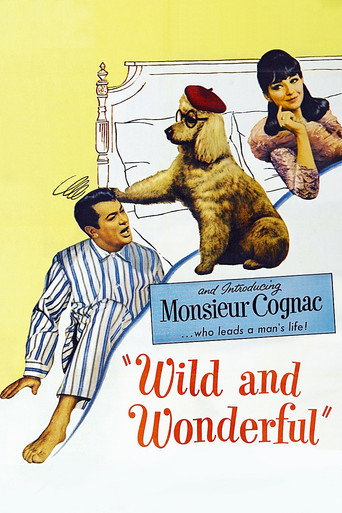 Wild and Wonderful movie poster