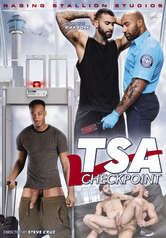 TSA Checkpoint movie poster