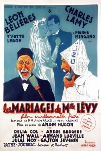 The Marriages of Mademoiselle Levy movie poster