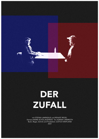 The Coincidence movie poster