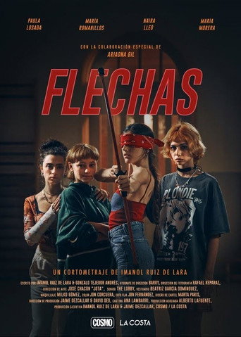 Flechas movie poster