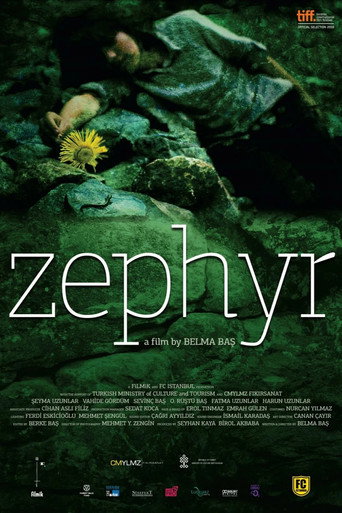 Zephyr movie poster