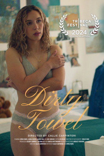Dirty Towel movie poster