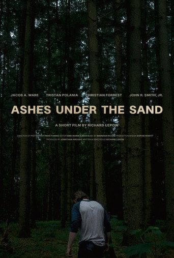 Ashes Under the Sand movie poster