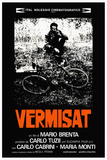 Vermisat movie poster