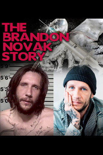 The Brandon Novak Story movie poster
