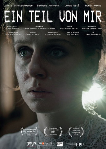 A piece of me movie poster