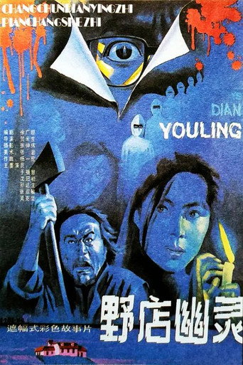 Wild Inn Mystery movie poster