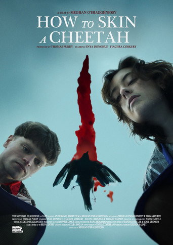 How to Skin a Cheetah movie poster