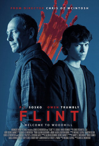 Flint movie poster