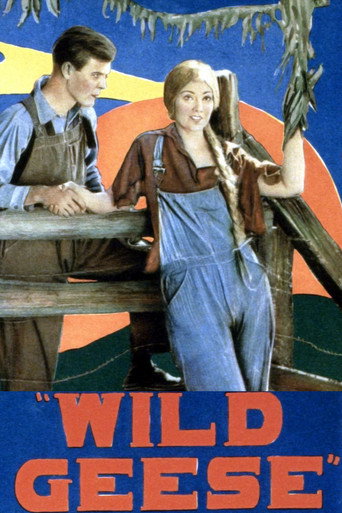 Wild Geese movie poster