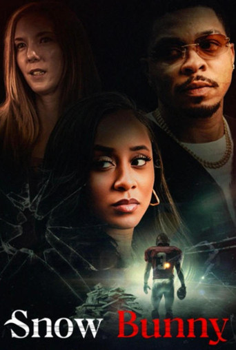 Snow Bunny movie poster