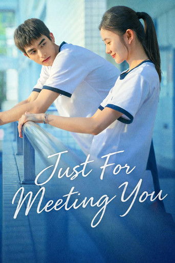 Just For Meeting You movie poster
