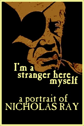 I'm a Stranger Here Myself movie poster