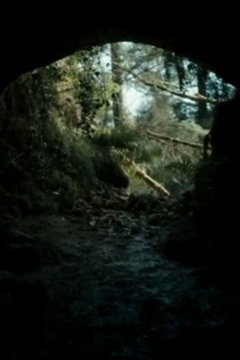 The Beast movie poster