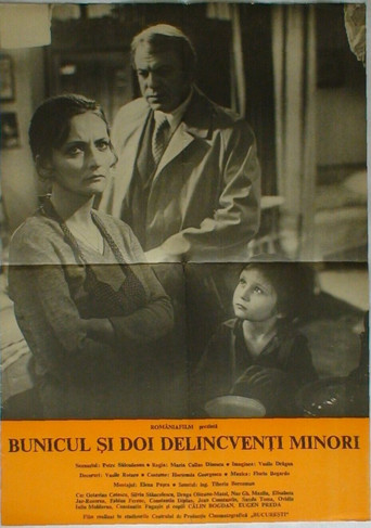 Grandpa and Two Young Offenders movie poster
