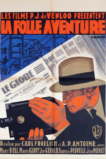 The crazy adventure movie poster