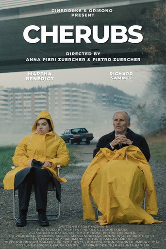 Cherubs movie poster