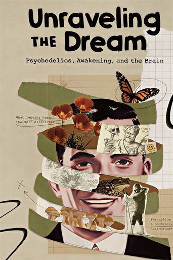 Unraveling the Dream movie poster