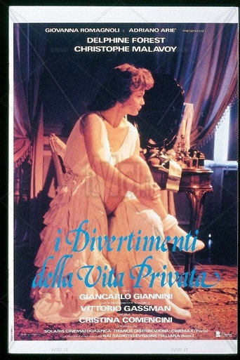 The Amusements of Private Life movie poster
