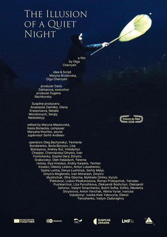 The Illusion of a Quiet Night movie poster