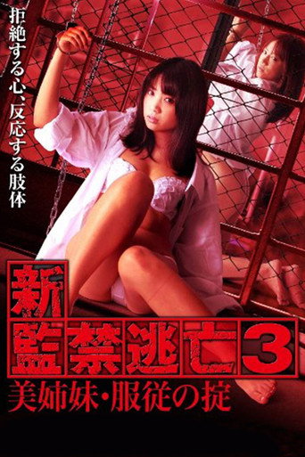Escape Captivity 3: The Beautiful Sisters' Law of Submission movie poster