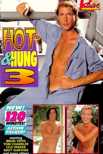 Hot & Hung 3 movie poster