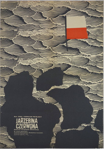 Red Rowan movie poster