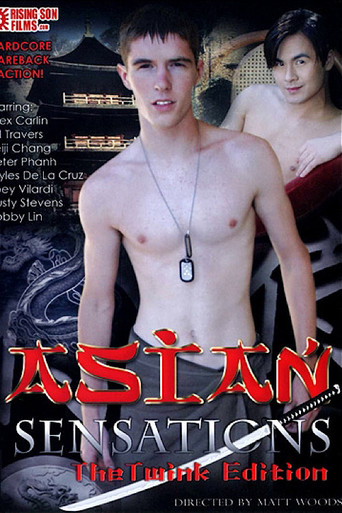 Asian Sensations: The Twink Edition movie poster