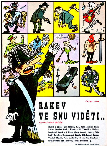 „Rakev ve snu viděti...“ movie poster