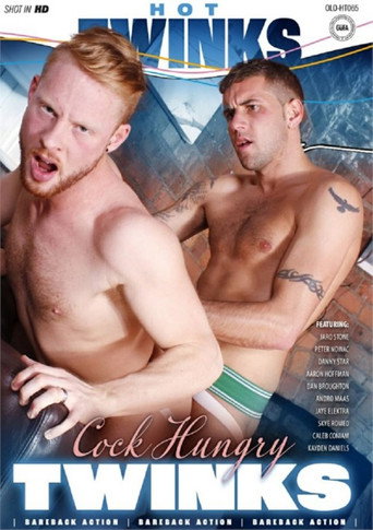 Cock Hungry Twinks movie poster