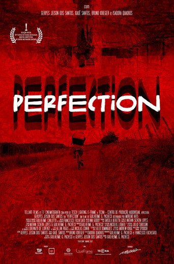 Perfection movie poster