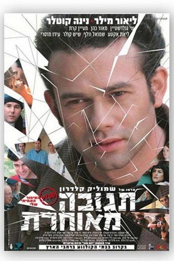 Delayed Reaction movie poster