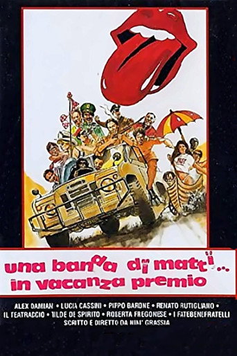 Una banda di matti in vacanza premio movie poster