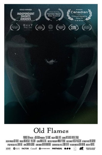 Old Flames movie poster