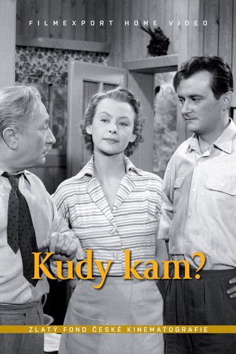 Kudy kam? movie poster