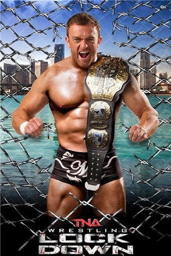 TNA Lockdown 2014 movie poster